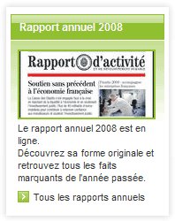Rapport annuel 2008