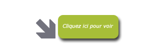 bouton