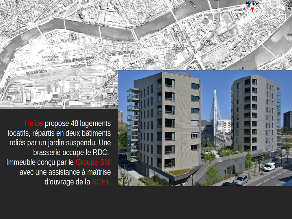 Slide 8