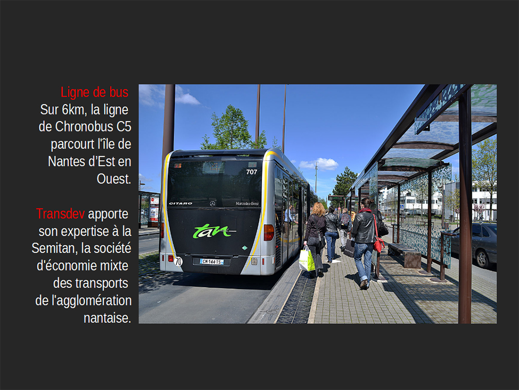 Slide 11