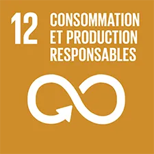 ODD N°12 - consommation et production responsables