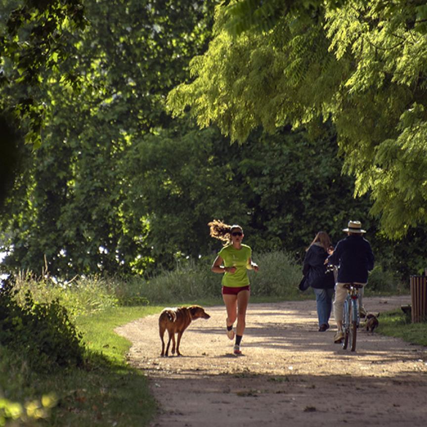 femme faisant du jogging en plein air