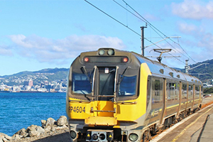 Le train à Wellington 