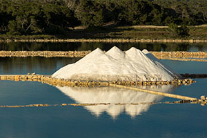 Salin
