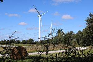 Vue du parc éolien de Quilly 