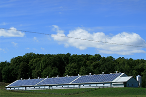 Panneaux solaires sur un bâtiment agricole 