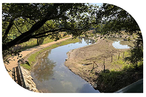 Vue du projet ReyDeCa 