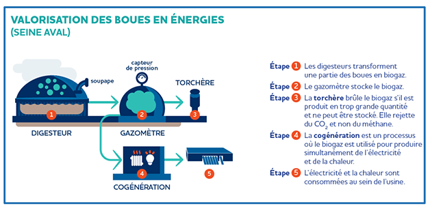 Schéma de la valorisation des boues en énergies
