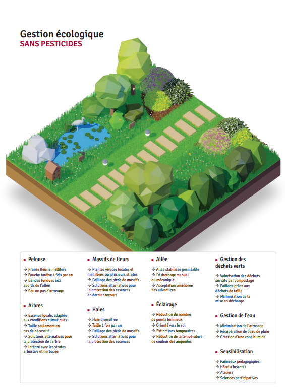 Une gestion écologique des espaces verts en faveur de la biodiversité