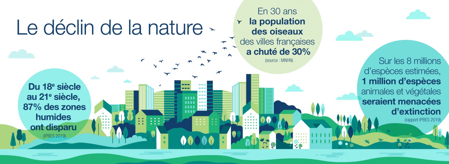 •	Sur les 8 millions d’espèces estimées, 1 million d’espèces animales et végétales seraient menacées d’extinction (rapport IPBES 2019)
•	Du 18e au 21e siècle, 87% des zones humides ont disparu (rapport IPBES 2019)
•	La population des oiseaux des villes françaises a chuté de 30% en 30 ans (bilan 1989-2019 du programme STOC du Muséum national d’histoire naturelle).
