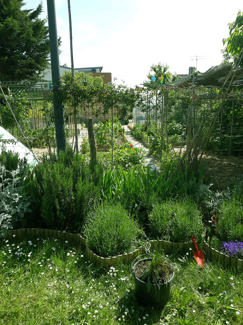 Vue des espaces extérieurs de la résidence « Les Folies » à Choisy le Roi, où Edifis a conduit en 2018 une expérimentation visant à favoriser la biodiversité en créant entre autres un jardin partagé de 18 parcelles, un sentier pédagogique et une prairie.