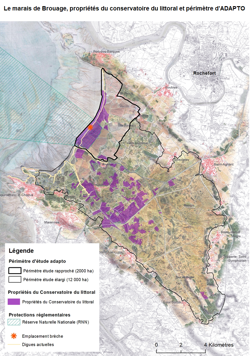 Le marais de Brouage, propriétés du conservatoire du littoral et périmètre d’ADAPTO