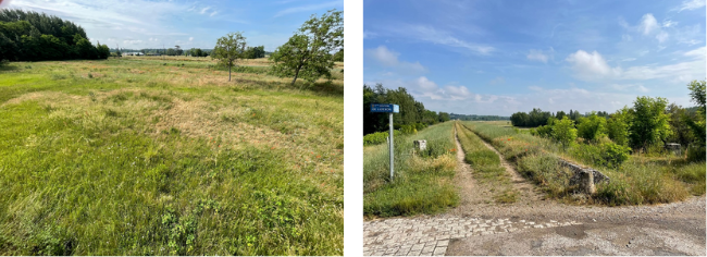 La Bouillie à Blois : territoire rendu à la nature