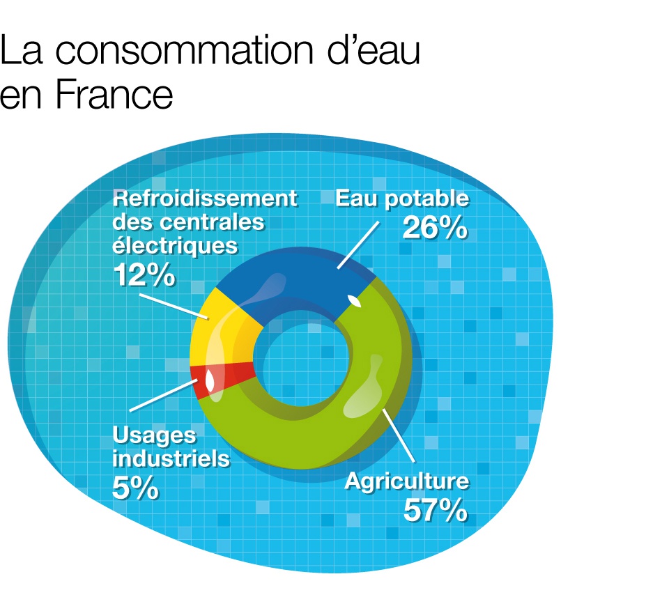 Répartition de la consommation d’eau en France : L’agriculture est la première activité consommatrice d’eau avec 57 % du total, devant l’eau potable (26 %), le refroidissement des centrales électriques (12 %), et les usages industriels (5 %) (source : ministère de la Transition écologique, 2018) 