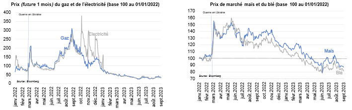 Graphe : Prix de marché (gaz, électricité, maïs, blé)