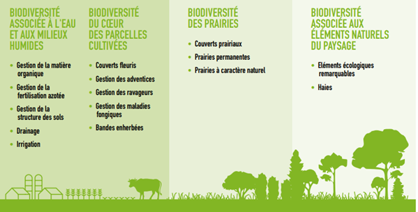 échelle comprenant 6 niveaux cumulatifs de 0 à 5