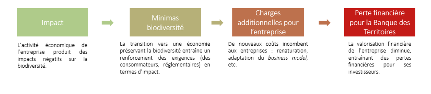 Figure 4 - Le « risque de transition » peut être réputationnel, réglementaire ou de marché. La nécessaire transition écologique pourrait affecter les entreprises dont le business model n’est pas compatible avec les exigences d’une économie préservant la biodiversité