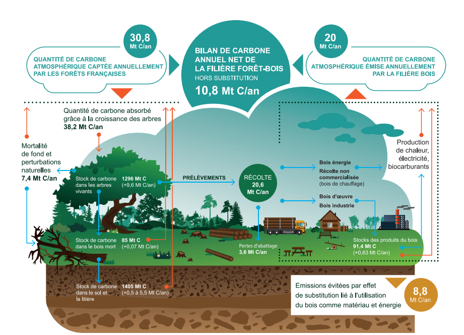 Les forêts françaises face au changement climatique, Académie des Sciences