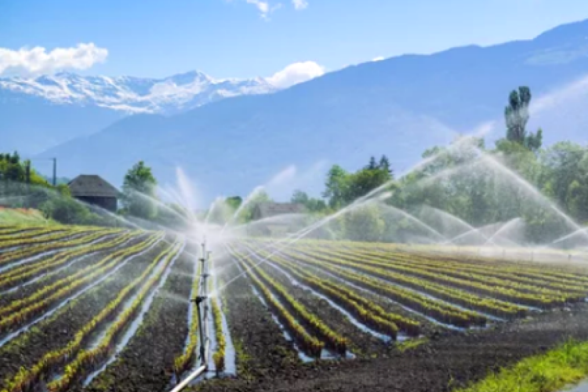 Environnement. Lutte contre les « bassines » : quand la gestion de l'eau  divise le monde agricole