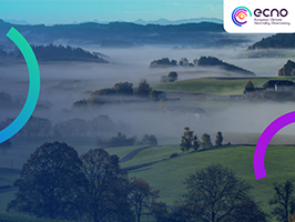 Page du Rapport ECNO