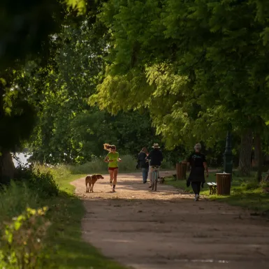 Des personnes courent, marchent ou font du vélo dans une allée bordée d'arbres.