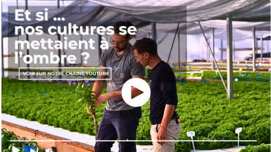 Deux personnes sous une serre