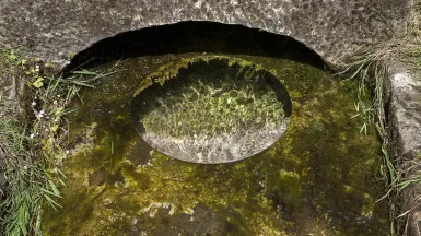 source de la Saône à Vioménil, Vosges (2020)