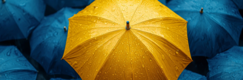 parapluie jaune