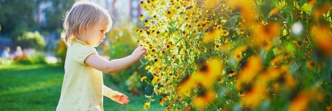 petite fille cueillant une fleur