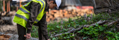 Forestier mesurant un arbre