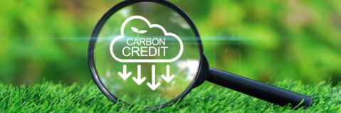 Loupe sur les crédits carbone
