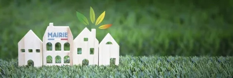 Petite maisons en bois dans la pelouse