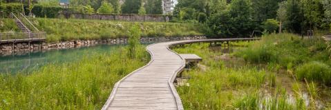Aménagement urbain passerelle sur marais