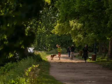 Des personnes courent, marchent ou font du vélo dans une allée bordée d'arbres.