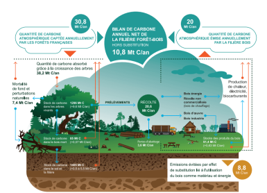 Les forêts françaises face au changement climatique