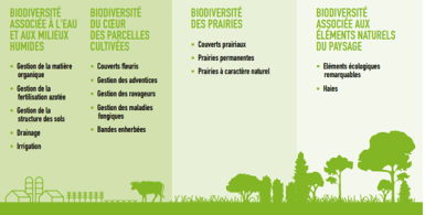 Infographie AgriBEST®