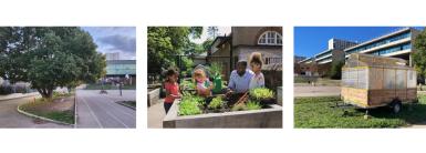 Photos de cours d'école