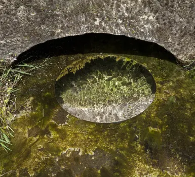 source de la Saône à Vioménil, Vosges (2020)