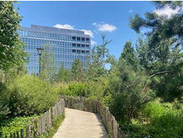Aperçu de la Forêt urbaine du Parc des Portes de Paris d'Icade