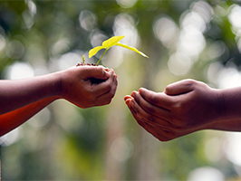 Transmission d'une petite plante entre deux personnes