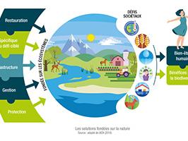 Schéma des solutions fondées sur la nature 