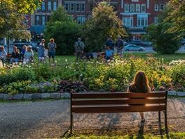 femme de dos assise sur un banc dans un parc 