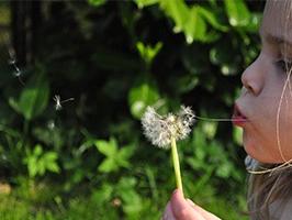 jeune fille qui souffle sur un pissenlit