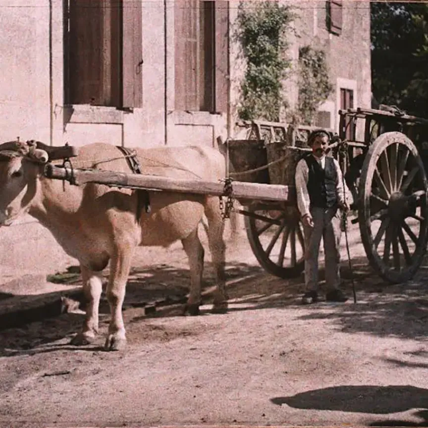 Vielle photo avec un homme et un attelage 